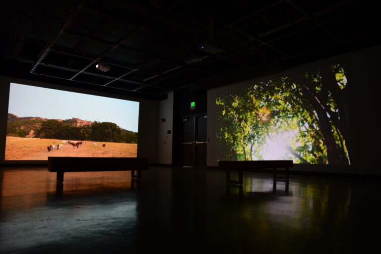 Design graduate student Maral Salehian brings the outdoors inside with new installation, ‘Sonic Horizons’