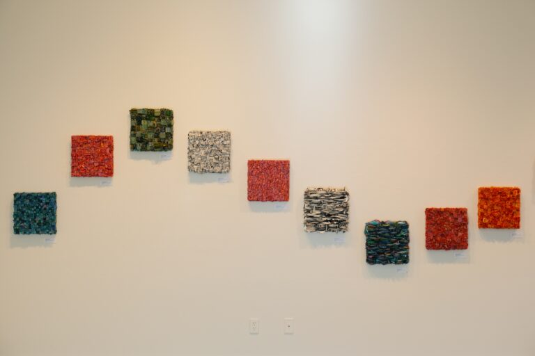 Artist Bussie Parker Kehoe returns to Pence Gallery with new solo exhibition: ‘A Curious Garden’