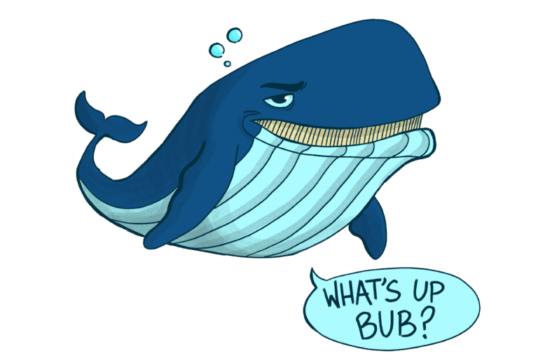 A look into the social complexities of humpback whales