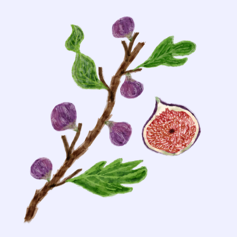 How am I supposed to choose?