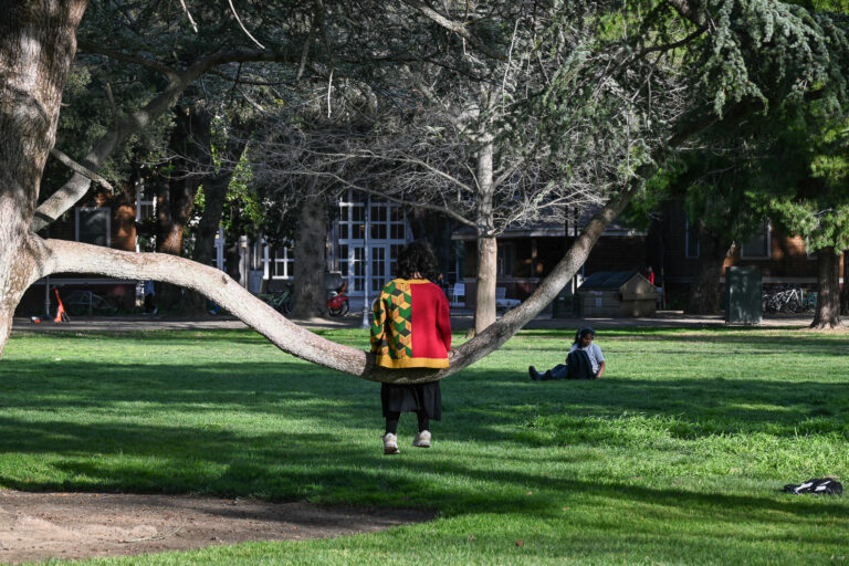 Is it a bird? Is it a squirrel? A turkey? Nope: It’s just a student in a tree again