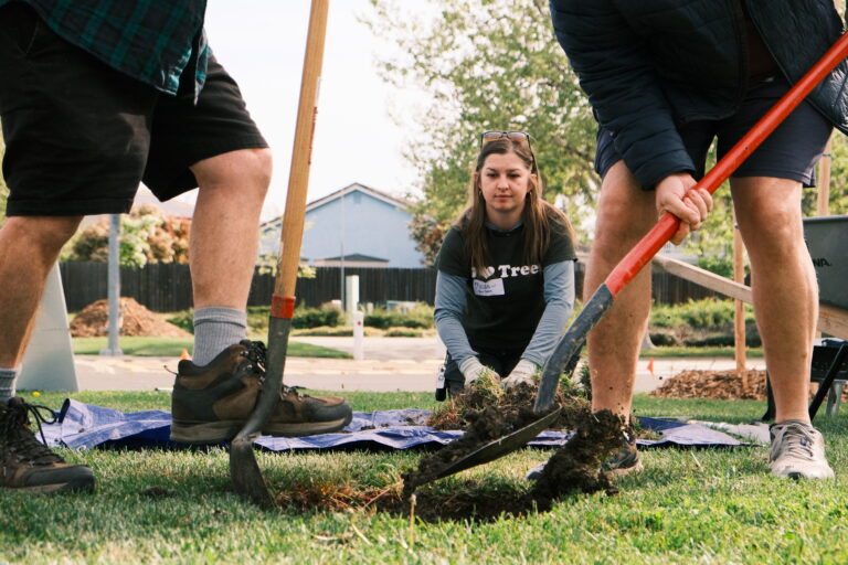 City of Davis partners with Tree Davis for annual Arbor Day celebration