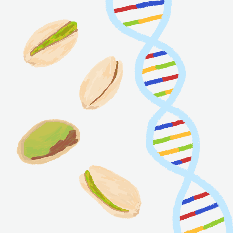 What’s happening in the world of pistachios?