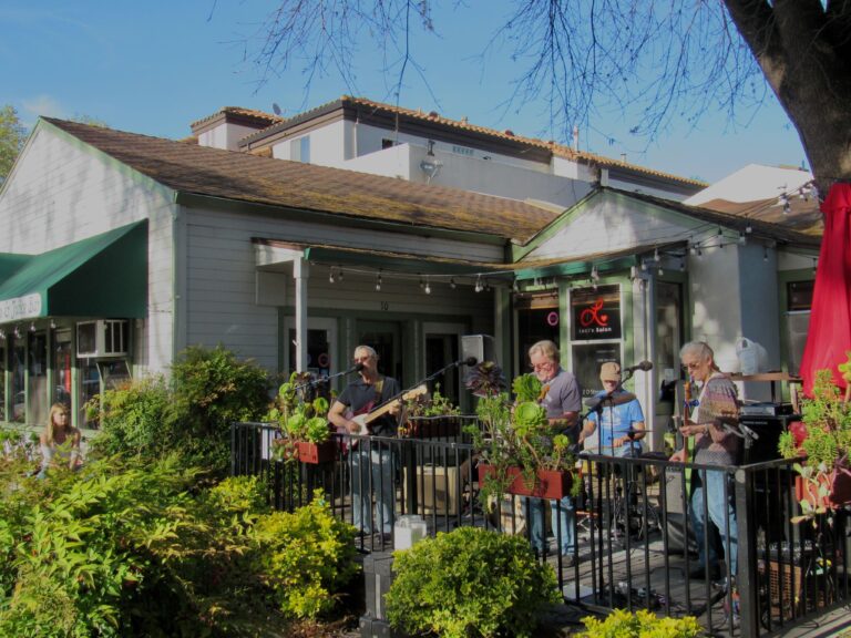 Saturday at the Patio: Cloud Forest Cafe unveils 10-week outdoor music series