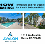 Apartment_Ad_Online-01