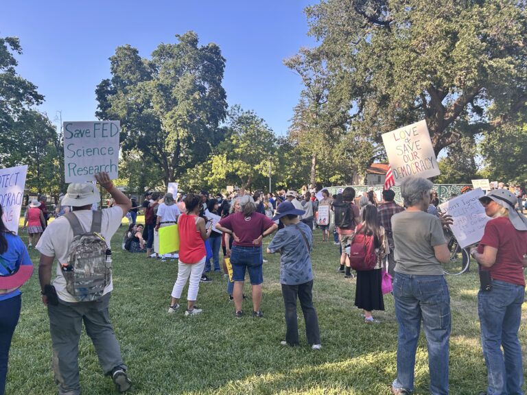 Davis May Day demonstration draws over 800 attendees