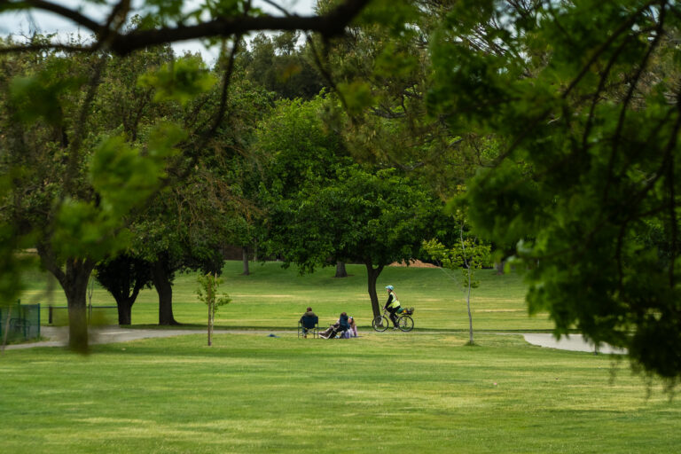 Phi Beta Sigma speaks out following Picnic Day shooting