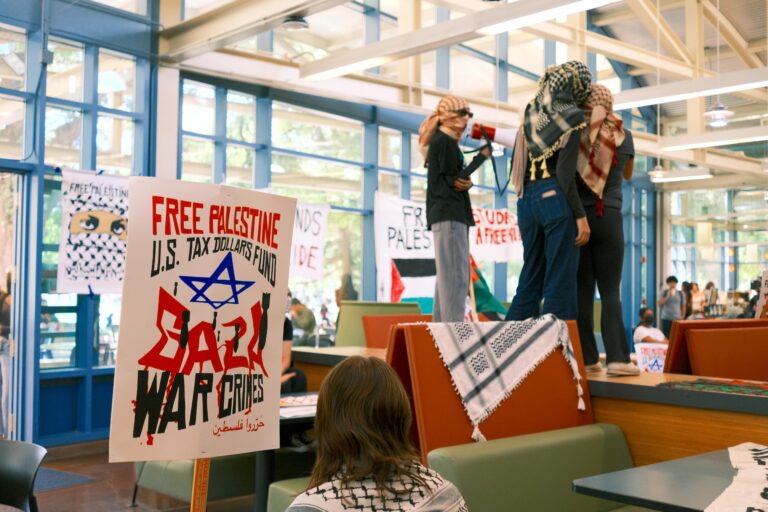 Palestine is here to stay: Davis for Palestine holds weeklong sit-ins in King Hall, Valley Hall