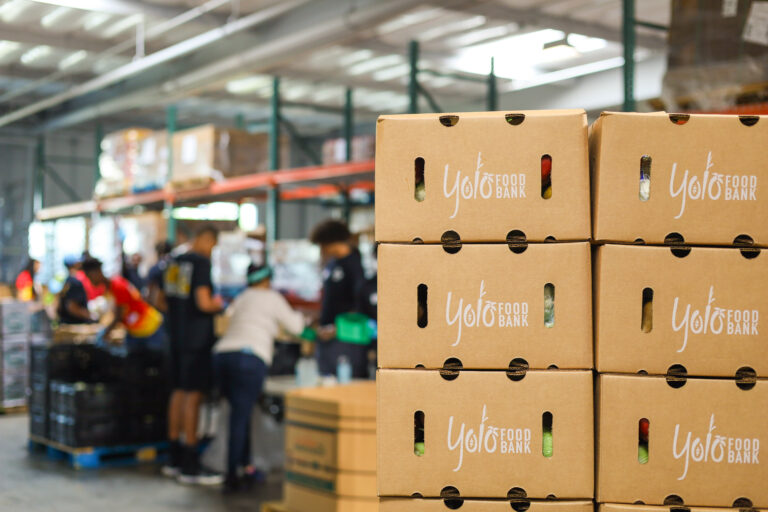 Yolo Food Bank faces significant funding cuts