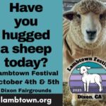 2025 Lambtown Festival – Aggie Digital Ad – 300 x 250
