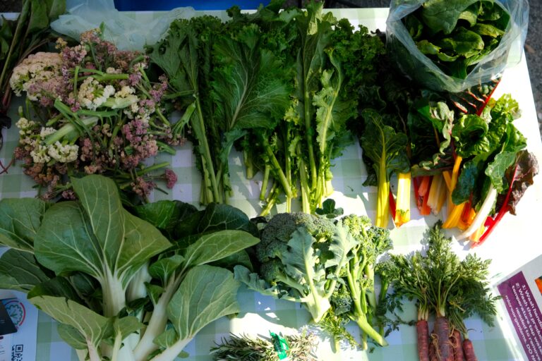 The ethics of vegetarianism