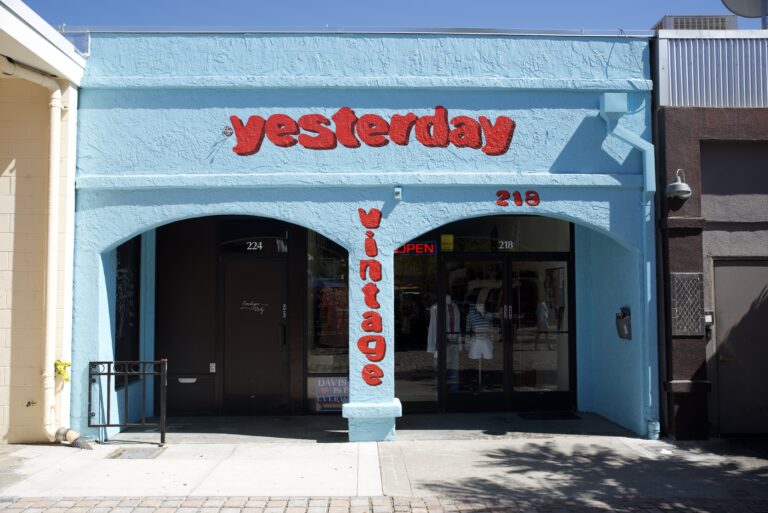 An introduction to thrifting in Davis