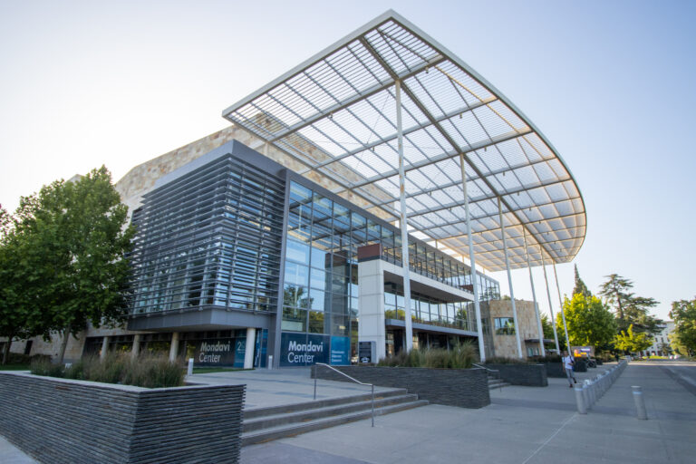 Creatively Davis: the charm of the arts