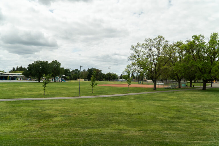 Community Carnival brings music, games and food to Davis