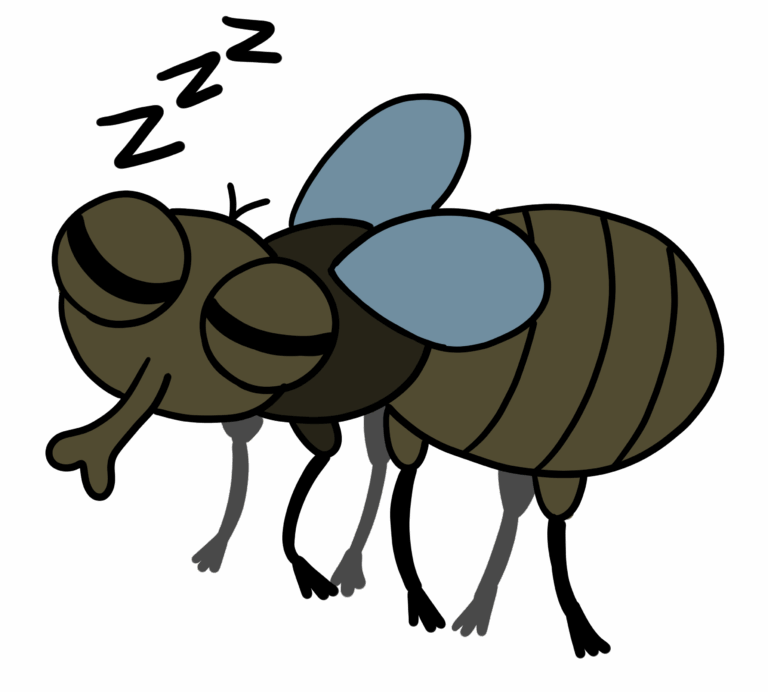 Your environment impacts the quality and ease of your sleep