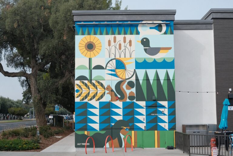 Sacramento-based artist Lily Therens shares her style and inspiration behind new murals for The Davis Collection