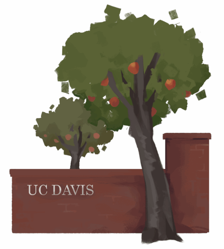 UC Davis should plant more fruit trees