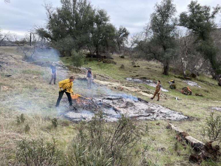 Getting your Hands on the Land
