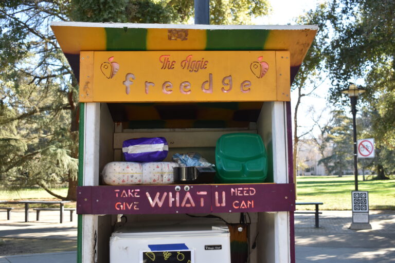 Comida y Comunidad:’ How Itzel Villagran brings her heritage to the Student Farm