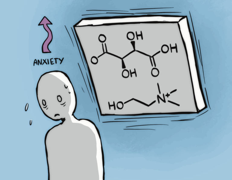 Lower choline levels in the brain linked to anxiety disorders 