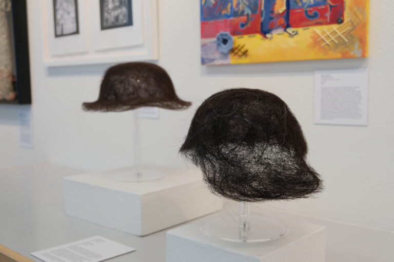 Pence Gallery unveils new exhibit