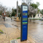 bicycleaward_ci_SACHA_CHICKERING