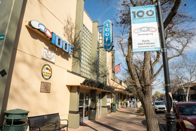 Davis Odd Fellows host seventh annual Chocolate Festival