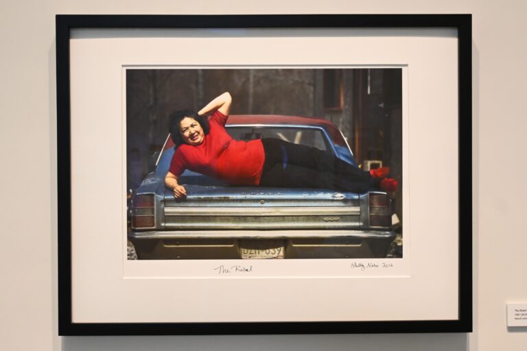 The Gorman Museum’s latest exhibition, ‘Shelley Niro,’ is not one to miss