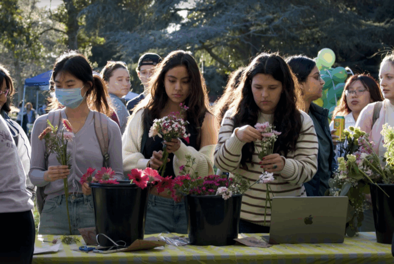 Davis Women in Business to hold annual wellness festival on March 6